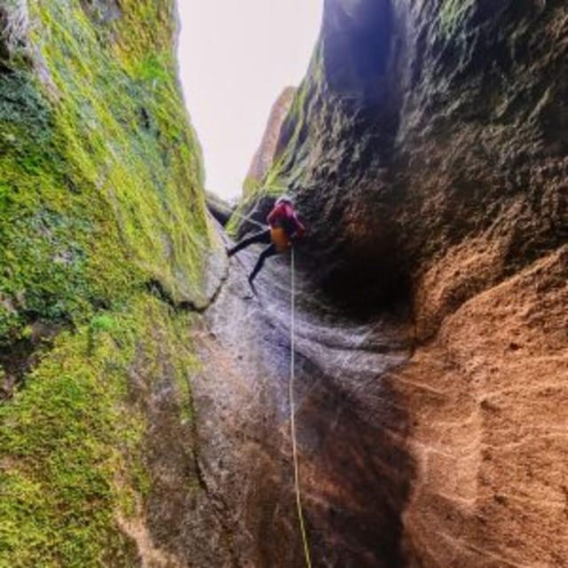 Tenerife: Guided Canyoning Experience in Los Arcos - Physical Requirements and Accessibility
