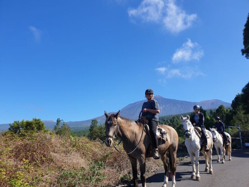 Tenerife: Guided Horseback Riding Tour to the Lomo Forest - Who Can Join: Age, Weight, and Language Requirements
