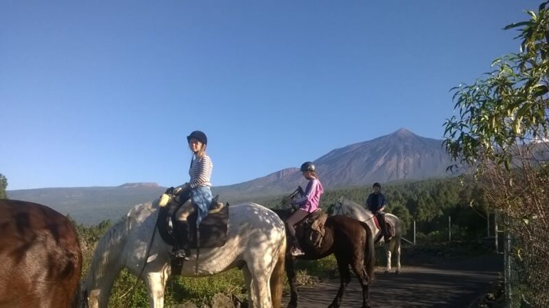 Tenerife: Guided Horseback Riding Tour to the Lomo Forest - What to Bring and Wear for Comfort and Safety