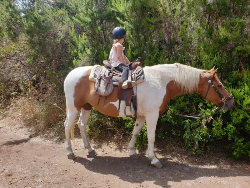 Tenerife: Guided Horseback Riding Tour to the Lomo Forest - Horses, Guides, and Personal Care