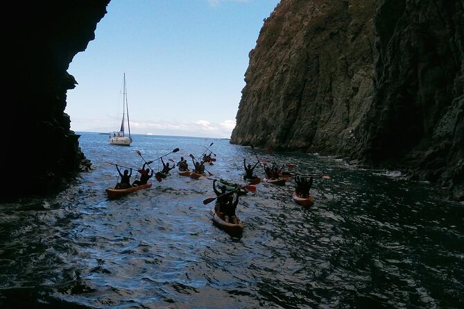 Tenerife: Guided kayak tour with snorkeling in a marine reserve - Physical Requirements and Accessibility