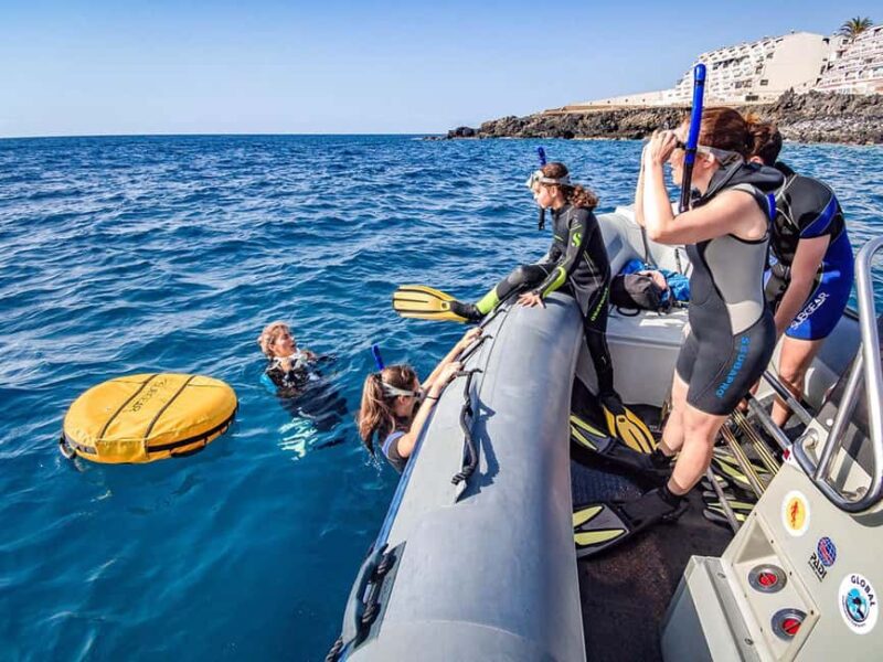 Tenerife: Guided Snorkeling Tour Incl. Gear - How the Tour Begins at Aquarius Dive Center in El Fraile