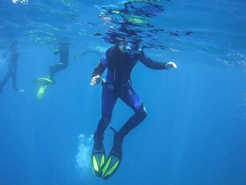 Tenerife: Guided Snorkeling Tour Incl. Gear - The Role of the Guides and Safety Measures
