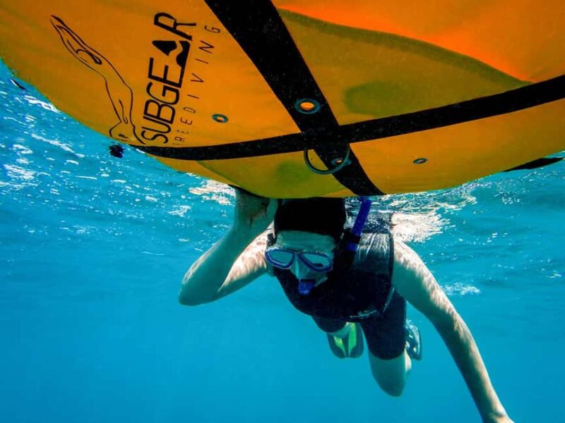 Tenerife: Guided Snorkeling Tour Incl. Gear - Comparing This Tour to Other Water Activities in Tenerife