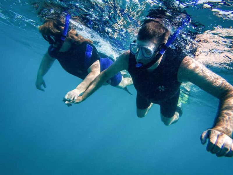 Tenerife: Guided Snorkeling Tour Incl. Gear - Who Will Most Enjoy This Tenerife Snorkeling Tour?