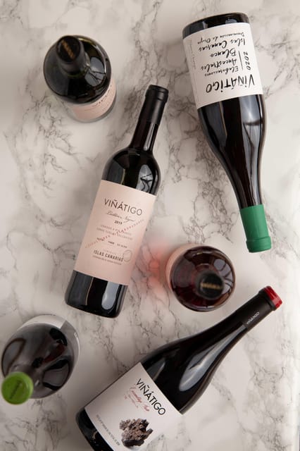 Tenerife: Guided tour with tasting of 6 wines - Discover the Architecture of a Family-Run Canary Winery