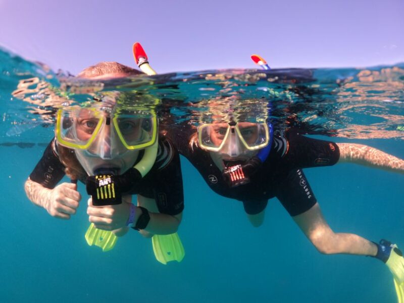 Tenerife: Half-Day Snorkeling Tour - Discover Tenerife’s Underwater World in Abades Bay