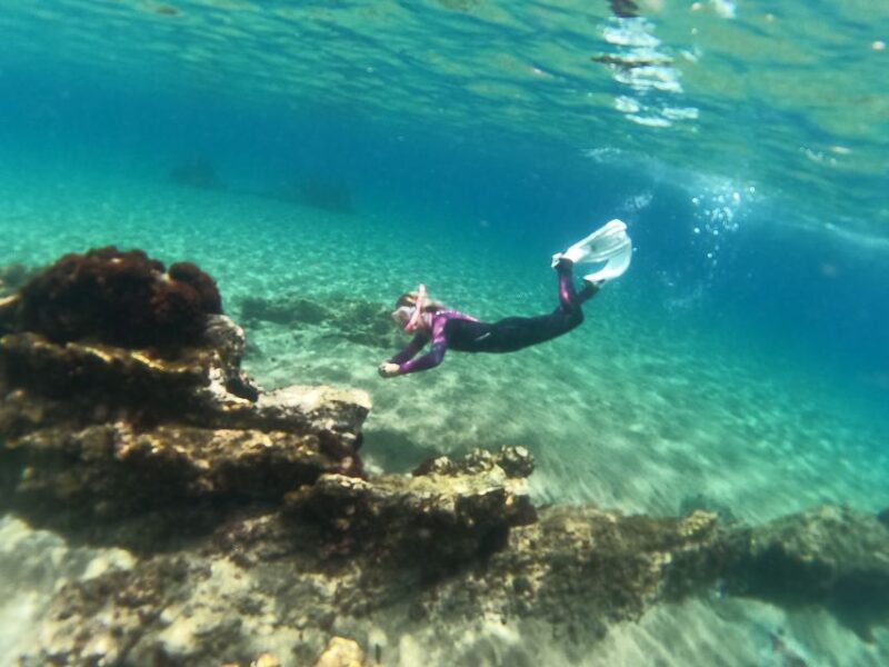 Tenerife: Half-Day Snorkeling Tour - Snorkeling in the Calm Waters of Abades Bay