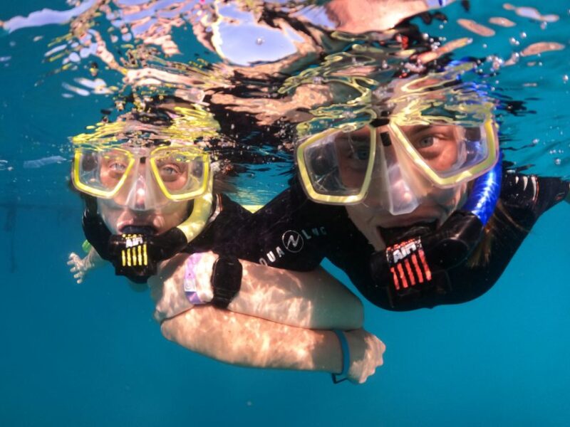Tenerife: Half-Day Snorkeling Tour - Options to Upgrade to Scuba Diving