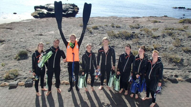 Tenerife: Half-Day Snorkeling Tour - Accessibility and Suitability