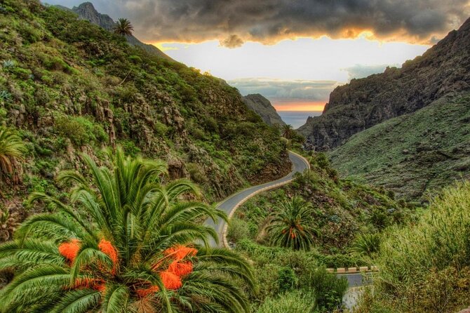 Tenerife Highlights Full-Day Tour - Tenerife Highlights Full-Day Tour: A Complete Exploration of the Island’s Natural Wonders