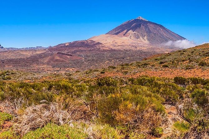 Tenerife Highlights Full-Day Tour - Key Points