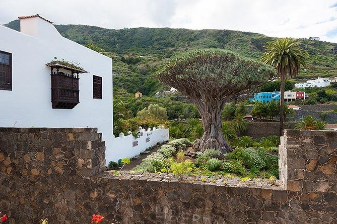 Tenerife Highlights Full-Day Tour - The Mountain Hamlet of Masca and Views of La Gomera