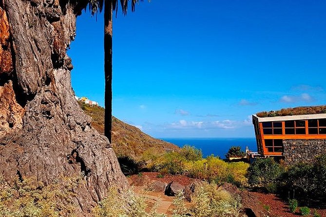 Tenerife Highlights Full-Day Tour - Practical Details and Tour Logistics