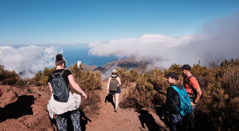 Tenerife: Hike Above Masca in Enchanted Forest with Pick-up - Starting Point: Hotel Pickup and Meeting Options