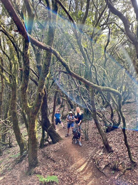 Tenerife: Hike Above Masca in Enchanted Forest with Pick-up - Food and Rest Stops: Picnic in Nature