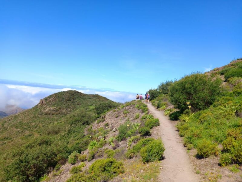 Tenerife: Hiking Above the Village of Masca - The Unique Focus of the Masca Mountain Ridge Walk
