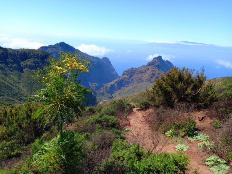 Tenerife: Hiking Above the Village of Masca - Weather and Rescheduling Flexibility