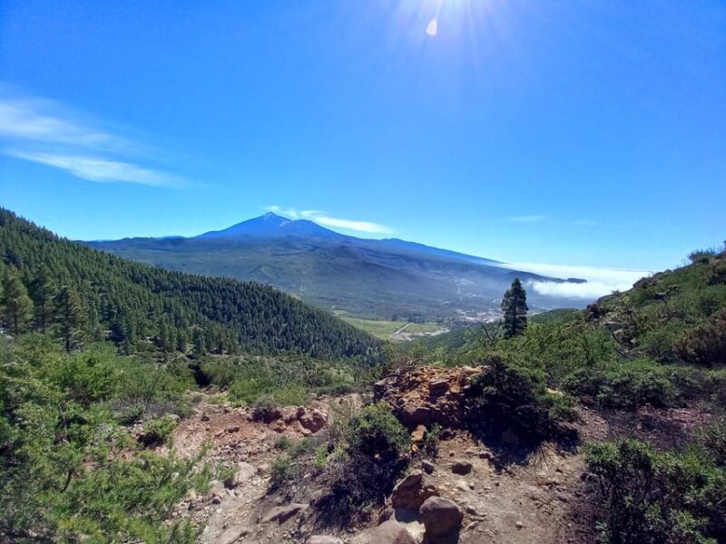 Tenerife: Hiking Above the Village of Masca - Pricing and Overall Value