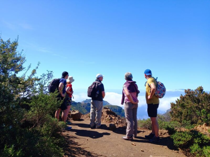 Tenerife: Hiking Above the Village of Masca - Who Will Enjoy This Tour