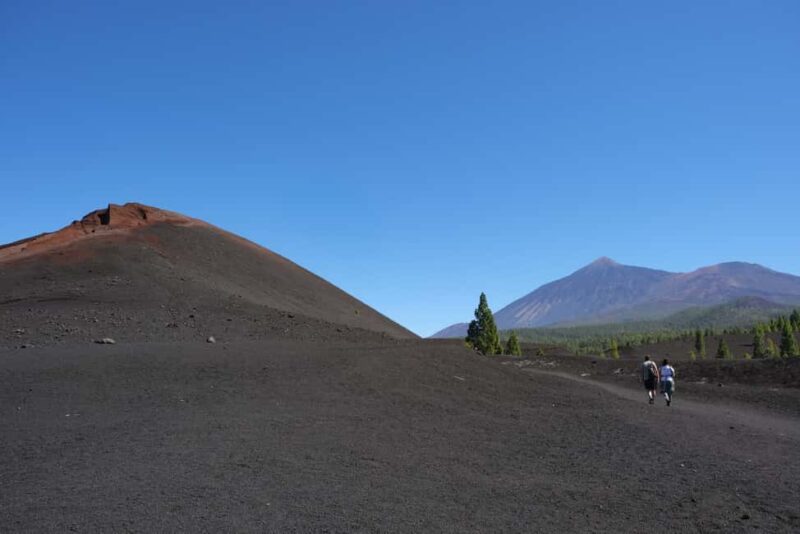 Tenerife: Hiking among volcanoes in the Chinyero Nature Reserve - Tenerife: Hiking among volcanoes in the Chinyero Nature Reserve
