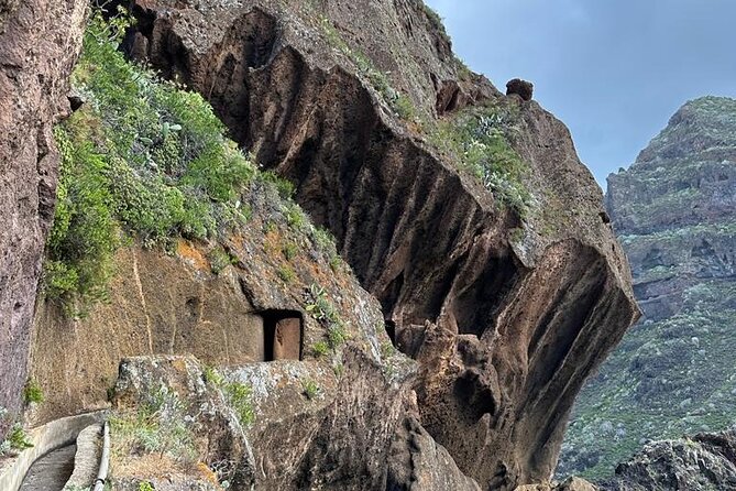 Tenerife: Hiking Tour in Anaga Mountains & Enchanted Forest - The Water Channel Hike and Untamed Wilderness
