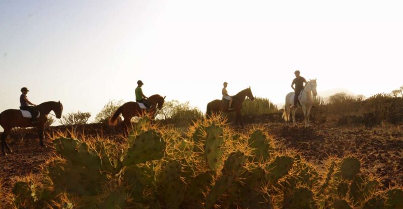 Tenerife: Horseback Ride with Instructor - Exploring Tenerife on Horseback: Scenic Rides with Expert Guidance