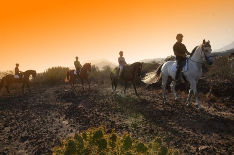 Tenerife: Horseback Ride with Instructor - Key Points