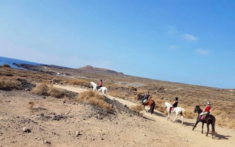 Tenerife: Horseback Ride with Instructor - Scenic Route Along Tenerife’s Coast and Mountains