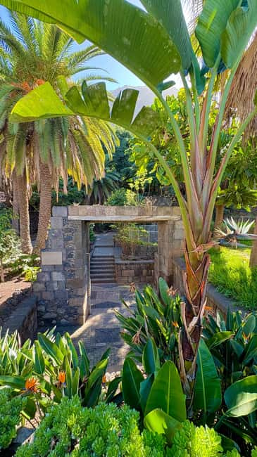 Tenerife: Icod de los Vino, Garachico & Guachinche Tour - Explore Tenerife’s North with a Rich Blend of Nature, Culture, and Cuisine