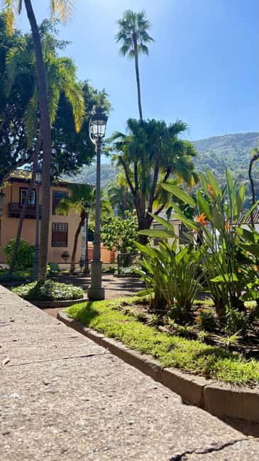 Tenerife: Icod de los Vino, Garachico & Guachinche Tour - The Sum Up: A Well-Rounded Day in Tenerifes North