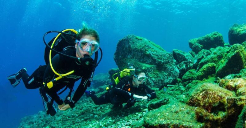 Tenerife: Introductory Dive for Cruise Ship Passengers - Discover Tenerife’s Beginner Dive Experience for Cruise Passengers
