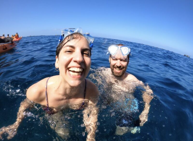 Tenerife: Kayak Safari and Sea Turtle Snorkeling - The Guides and Their Expertise