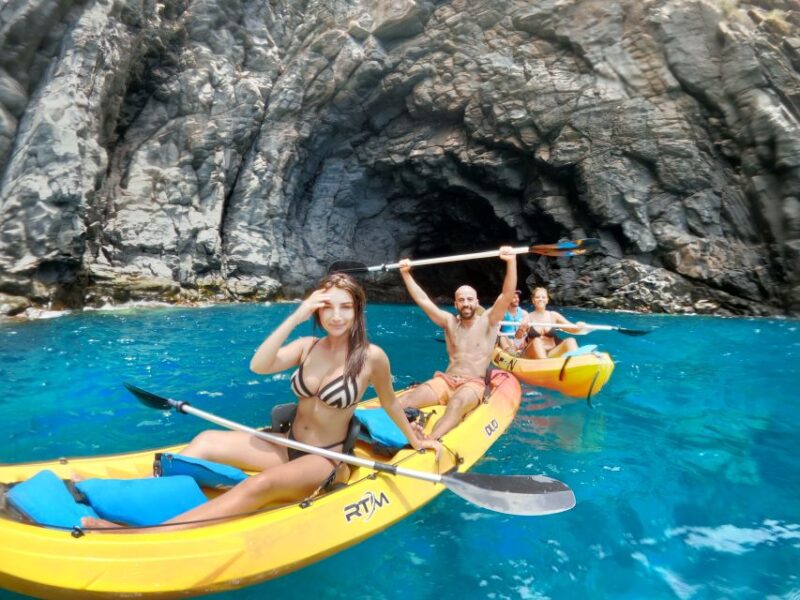 Tenerife: Kayak Safari and Sea Turtle Snorkeling - Optional Private Tours and Group Sizes