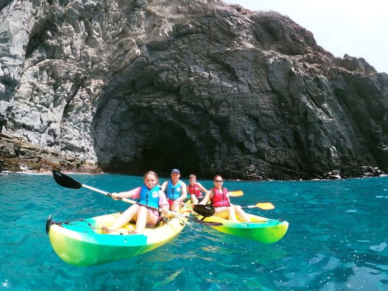 Tenerife: Kayak & Snorkel with Turtles & Dolphins w/Photos - Key Points