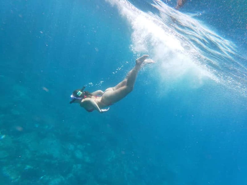 Tenerife: Kayak & Snorkel with Turtles & Dolphins w/Photos - The Guide and Safety Measures