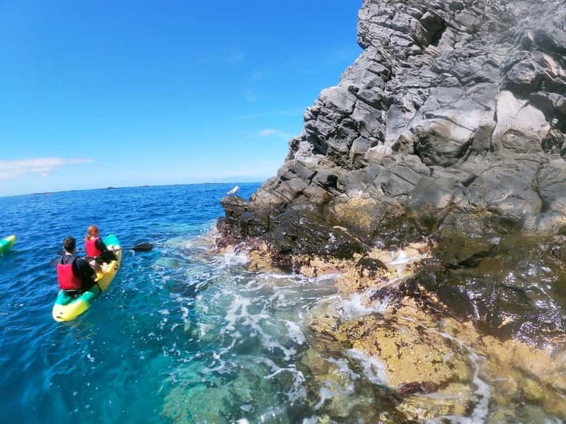 Tenerife: Kayak & Snorkel with Turtles & Dolphins w/Photos - Logistics and Practical Tips