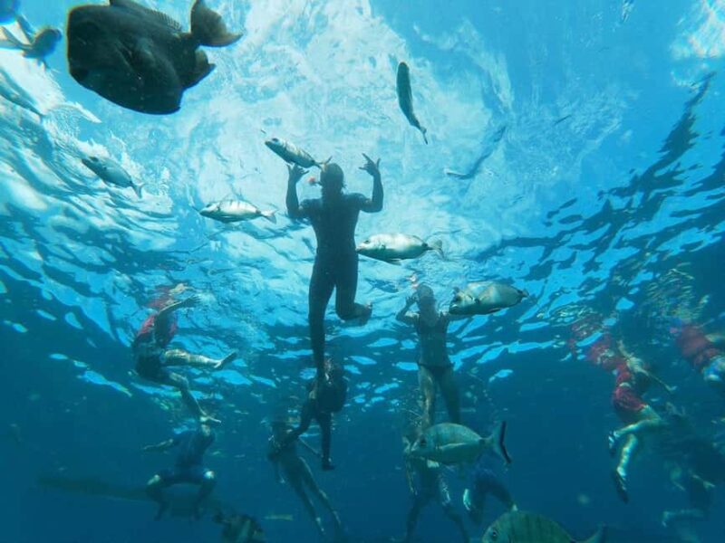 Tenerife: Kayak & Snorkeling, Marine Fauna Watching - The Route and Stops Along Tenerife’s Coastline