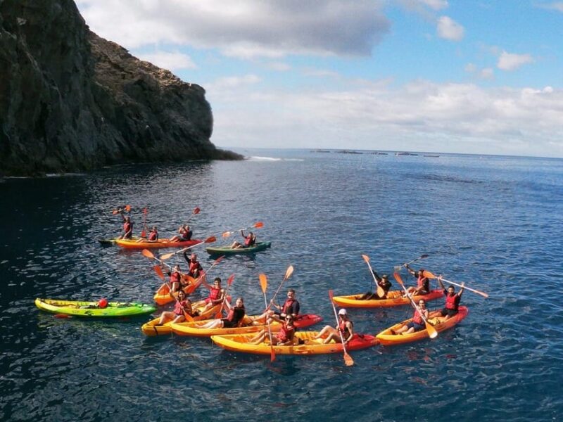 Tenerife: Kayak & Snorkeling, Marine Fauna Watching - The Pacing and Group Size of the Tour