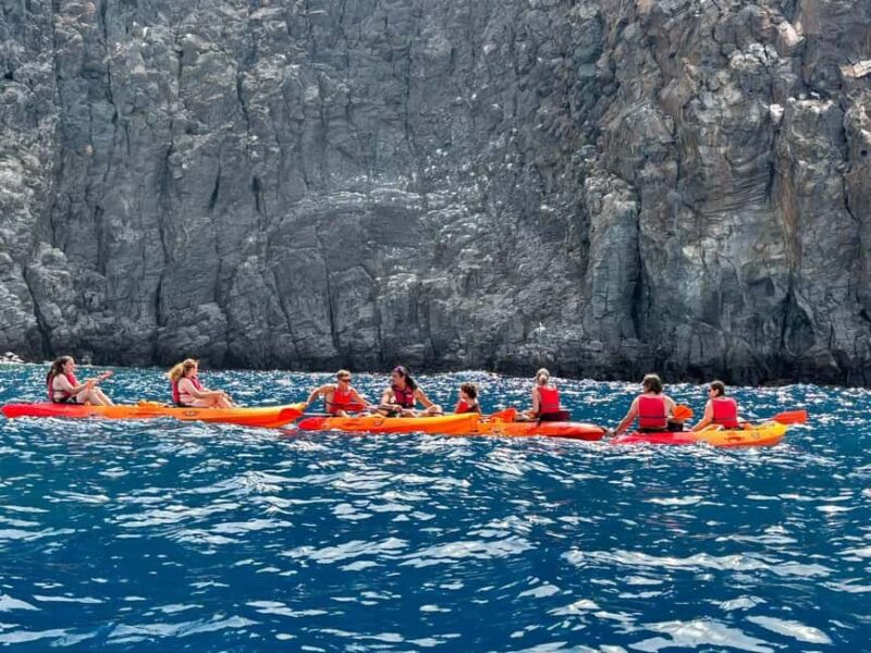 Tenerife: Kayak & Snorkeling, Marine Fauna Watching - Why This Tour Offers a Balance of Adventure and Nature