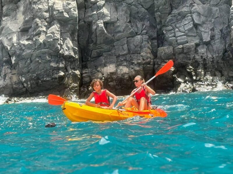 Tenerife: Kayak & Snorkeling, Marine Fauna Watching - Tenerife Kayak & Snorkeling: A Worthwhile Marine Encounter