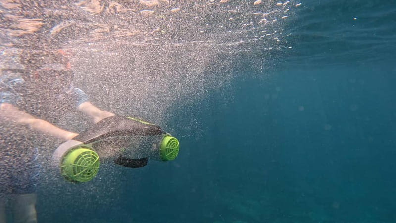 Tenerife: kayak tour with animals and underwater scooters - What to Expect During the Kayak and Snorkel Trip