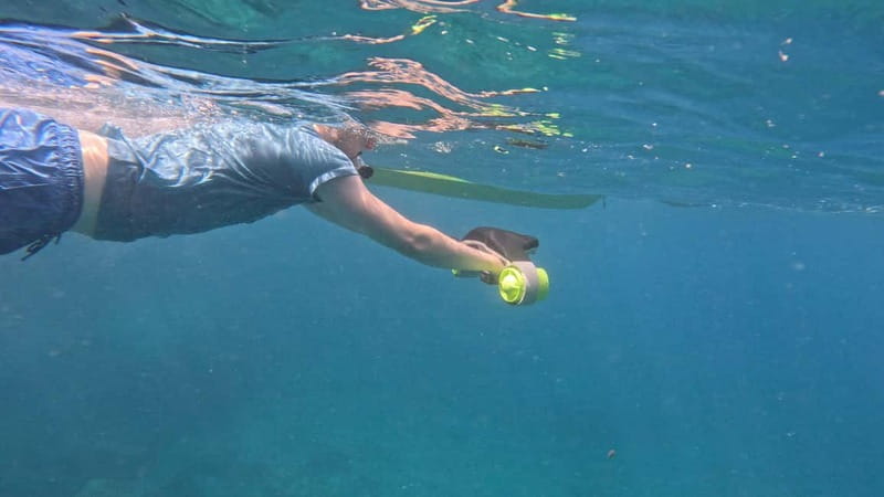 Tenerife: kayak tour with animals and underwater scooters - Wildlife Encounters: Dolphins, Turtles, and Fish