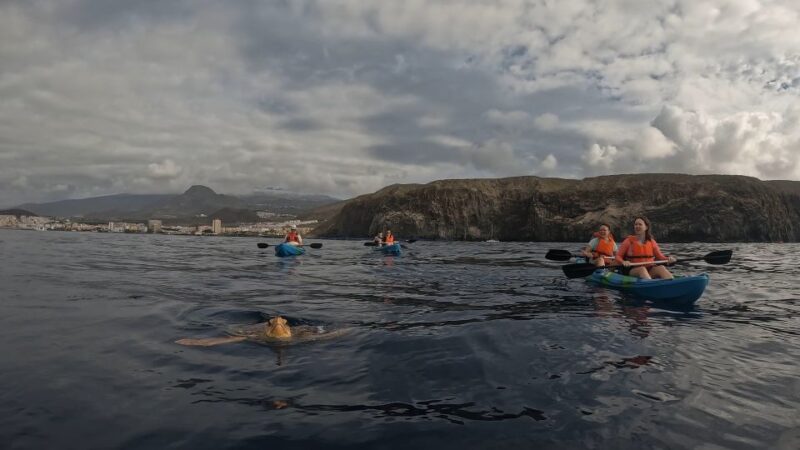 Tenerife: kayak tour with animals and underwater scooters - Practical Details: Group Size, Equipment, and Photos
