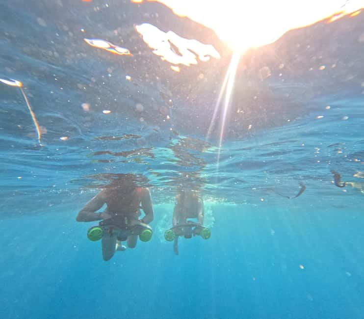 Tenerife: kayak tour with animals and underwater scooters - Accessibility and Suitability