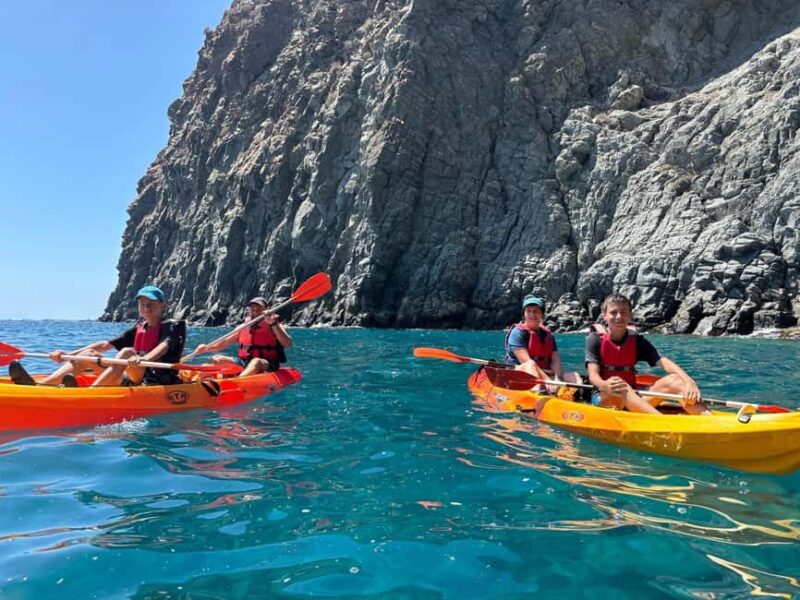 Tenerife: Kayak with Dolphins and Snorkel with Turtles - Discover Tenerife’s Marine Life with Kayak and Snorkel Adventures