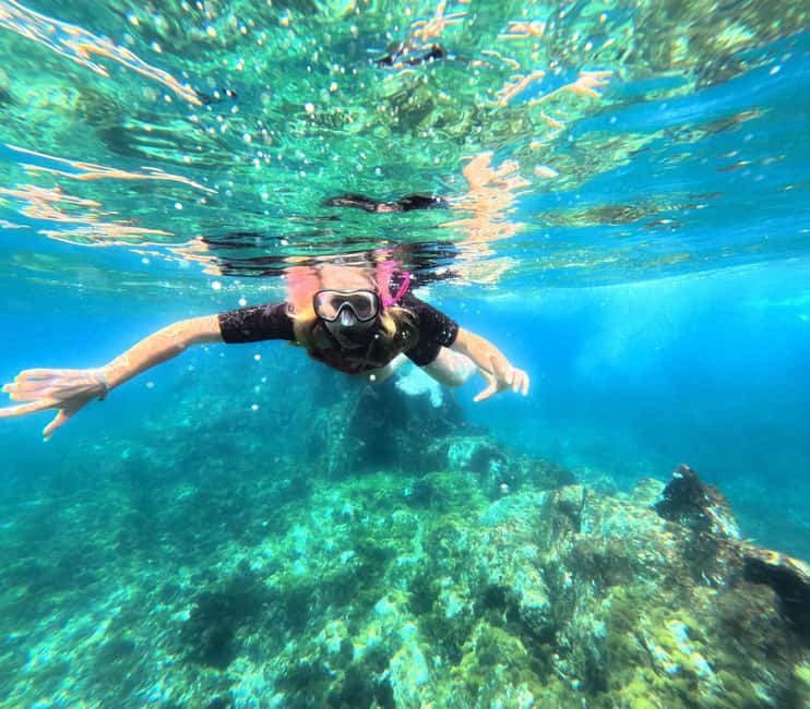 Tenerife: Kayak with Dolphins and Snorkel with Turtles - Key Points