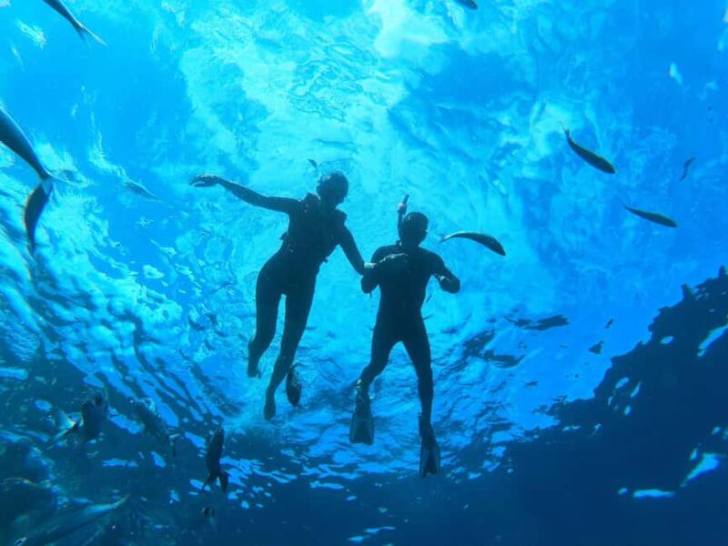 Tenerife: Kayak with Dolphins and Snorkel with Turtles - Practical Details: Meeting, Duration, and Group Size