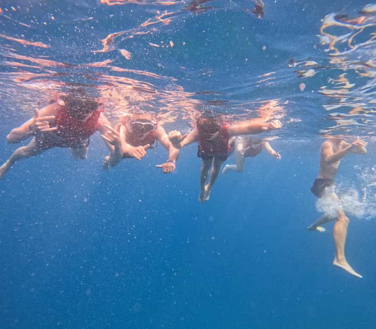 Tenerife: Kayak with Dolphins and Snorkel with Turtles - What Differentiates This Tour from Similar Offerings