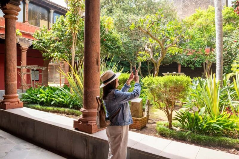 Tenerife: La Laguna, Aloe Vera Farm, and Lunch Tour - Aloe Vera Farm: Learning About Healing Crops